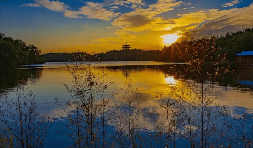 文章配图-3