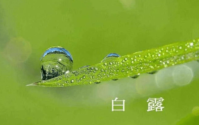 文章配图-2