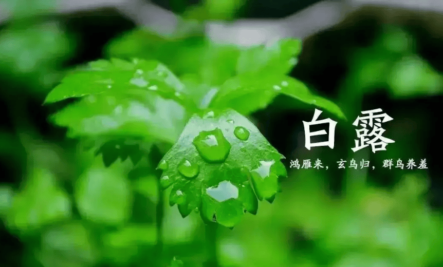文章配图-3
