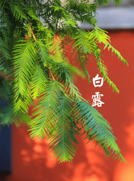 文章配图-4