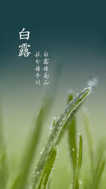 文章配图-3