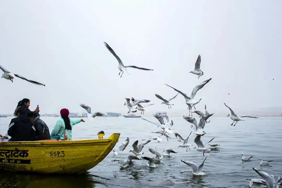 印度悖论:3500万“润”向全球,却对世界关上门