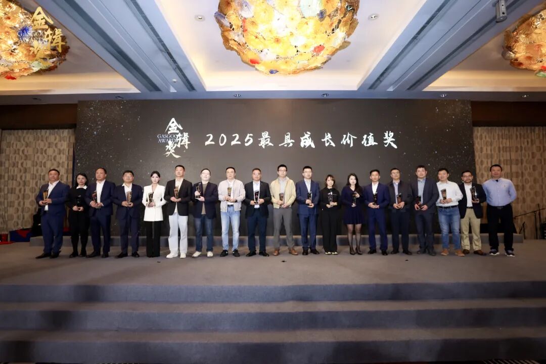 rayz睿镞科技斩获盖世汽车2025金辑奖“最具成长价值奖”